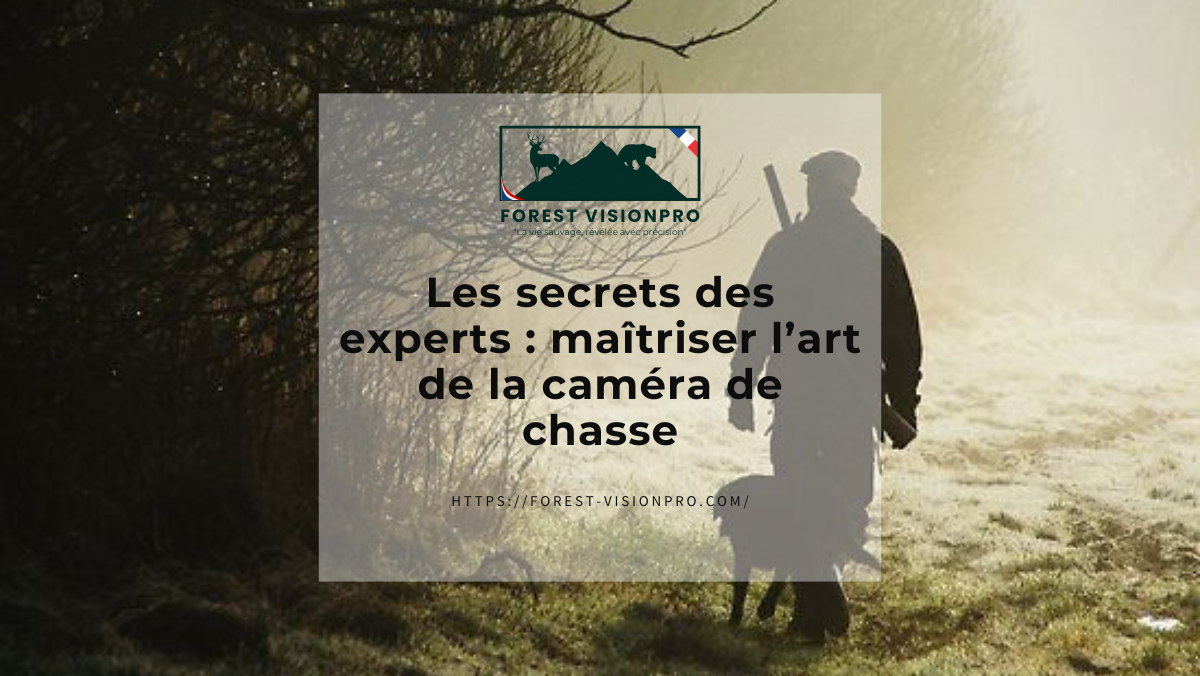 Les secrets des experts : maîtriser l’art de la caméra de chasse