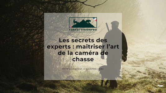 Les secrets des experts : maîtriser l’art de la caméra de chasse