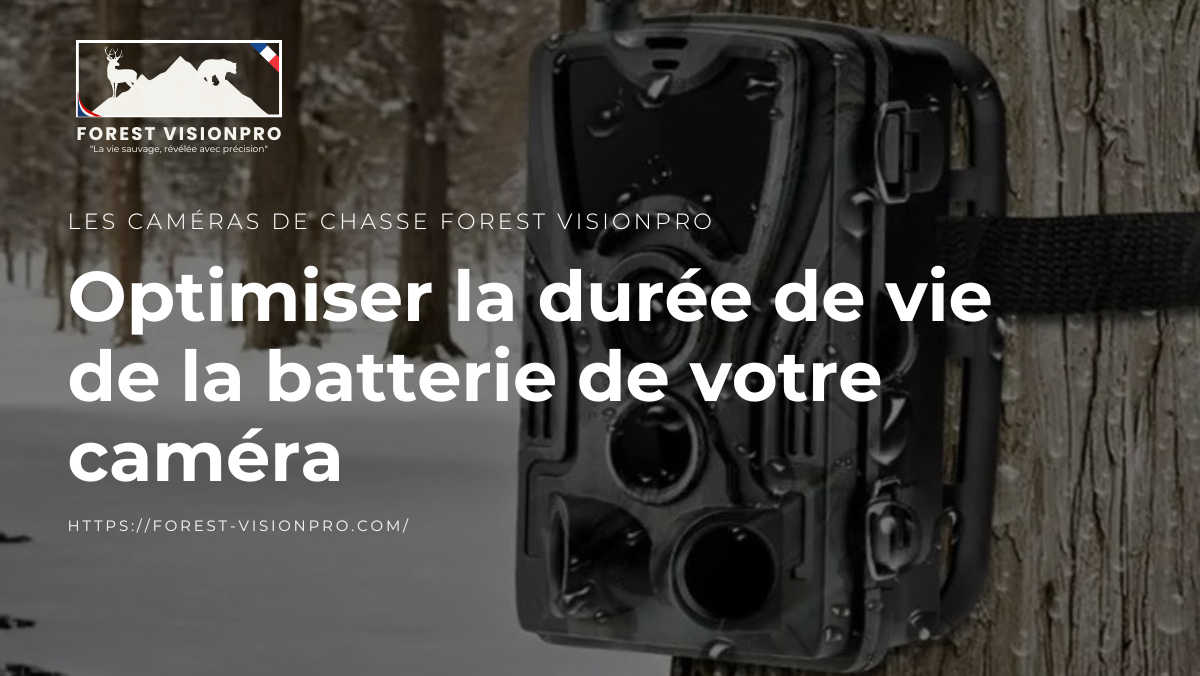 Optimiser la durée de vie de la batterie de votre caméra Forest Vision Pro