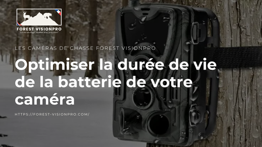 Optimiser la durée de vie de la batterie de votre caméra Forest Vision Pro