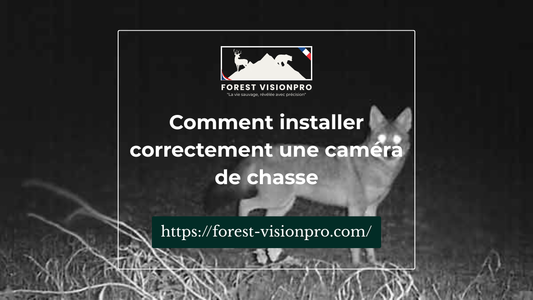 Comment installer correctement une caméra de chasse (guide complet débutant)
