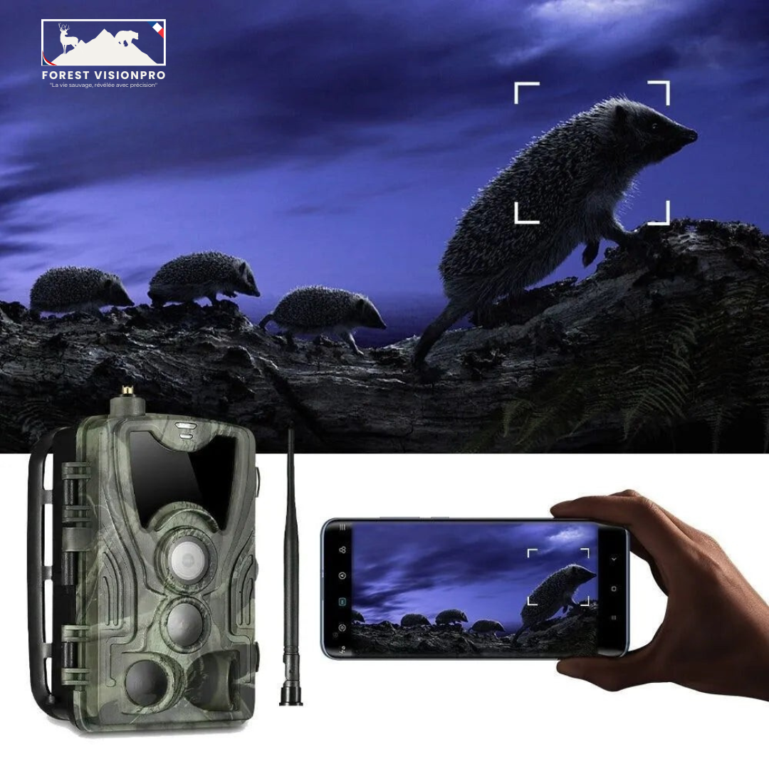 Caméra De Chasse 4G+ 4K Avec Écran - Forest VisionPro