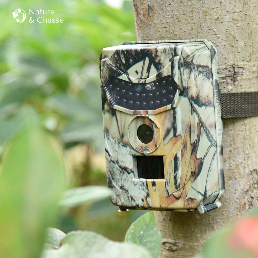 Camera de chasse Vision Nocturne - Nature & Chasse®