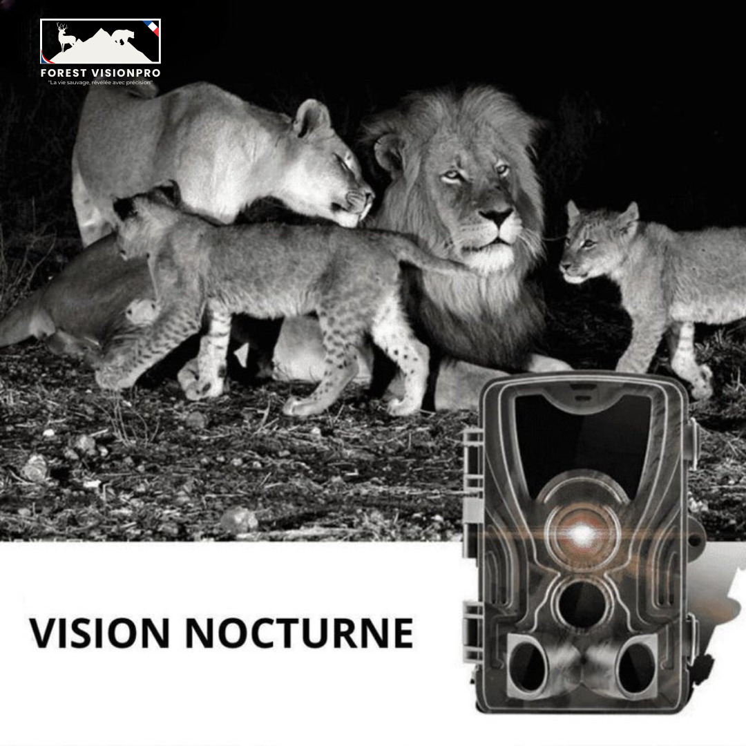 Caméra de chasse 4K avec écran - Forest VisionPro