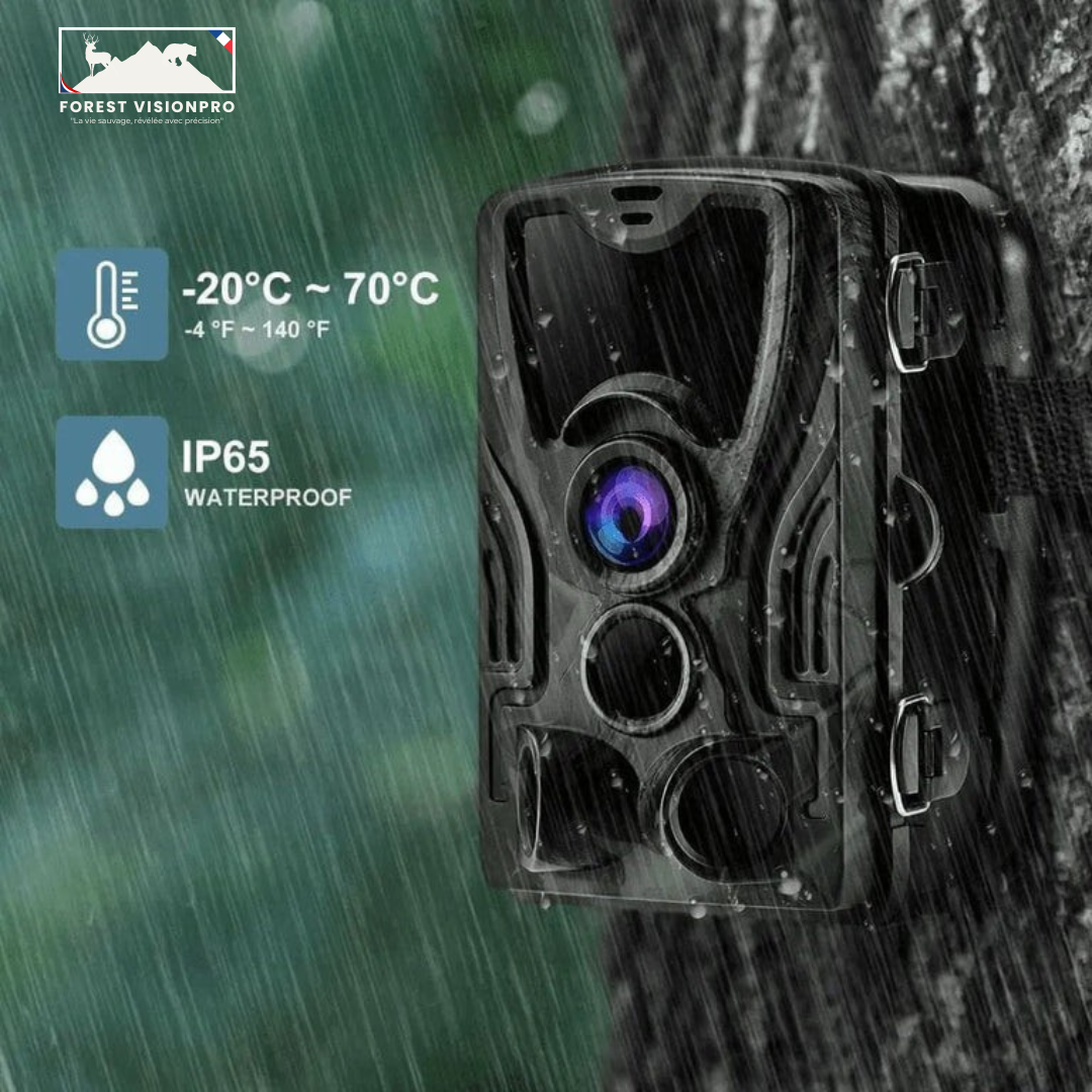 Caméra de chasse 4K avec écran - Forest VisionPro