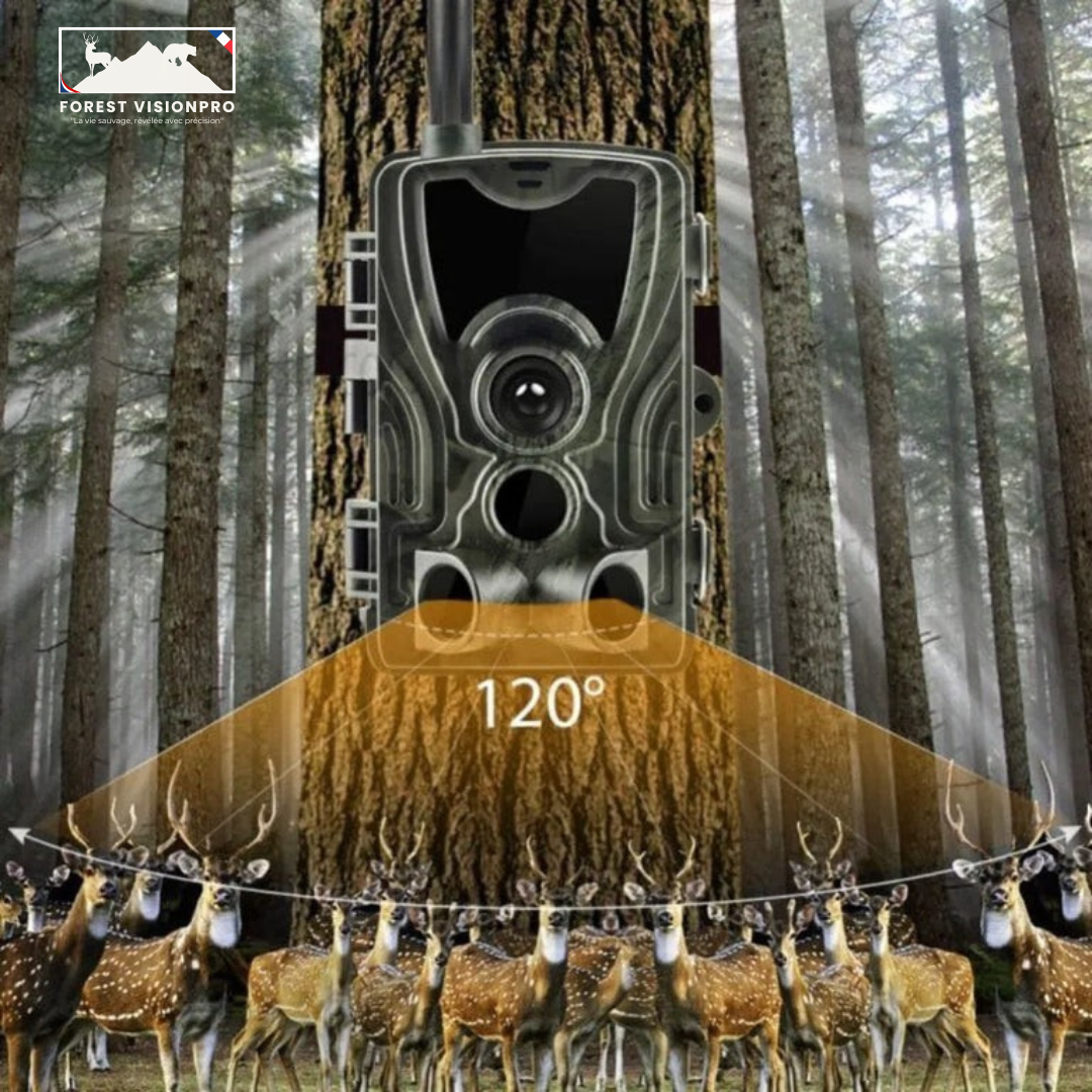 Caméra de chasse 4K avec écran - Forest VisionPro